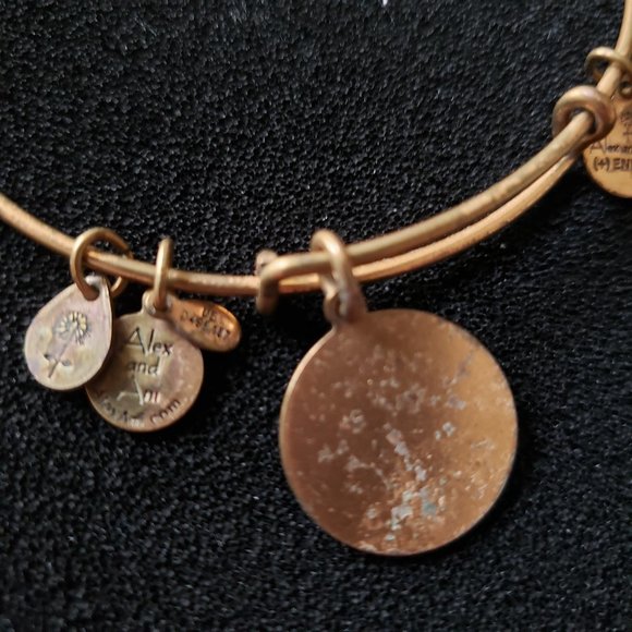 Alex and Ani Aries Zodiac Gold Charm Bracelet adjustable Bangle boho - Picture 5 of 6